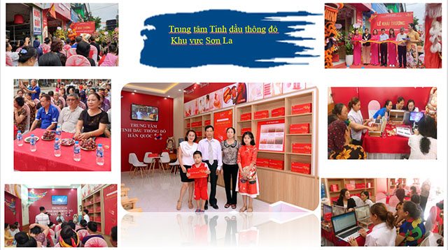 Mô hình nhượng quyền thương hiệu Trung Tâm Tinh Dầu Thông Đỏ Hàn Quốc Edally BH tại Sơn La